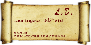 Laurinyecz Dávid névjegykártya