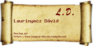 Laurinyecz Dávid névjegykártya